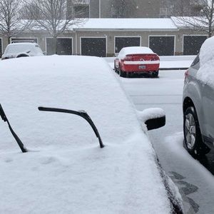 Meet your Posher, Faisal